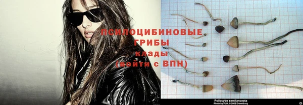 крисы Алексеевка